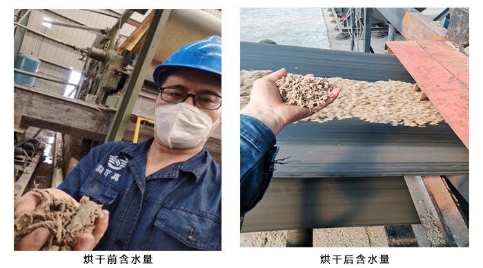 紙漿污泥烘干前后 紙漿污泥烘干前后