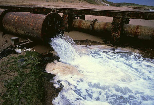 城市污水污泥 城市污水污泥